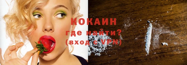 индика Снежинск