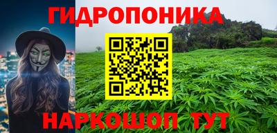 стафф Бийск