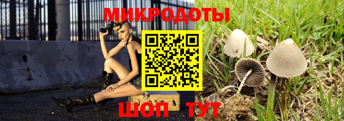 Галлюциногенные грибы мухоморы Советская Гавань