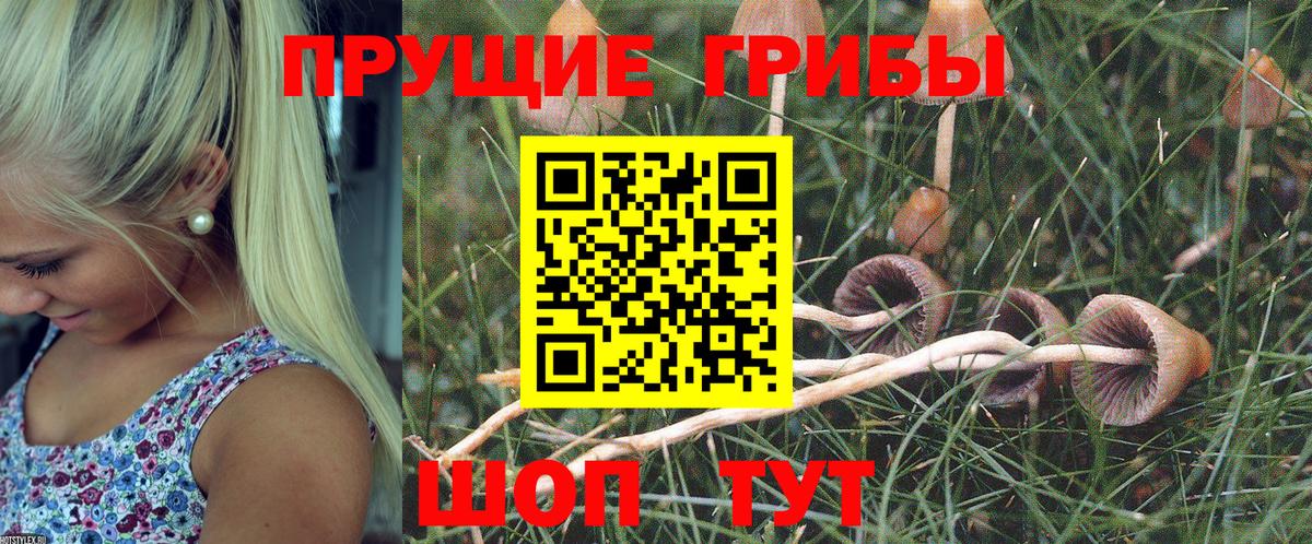 Галлюциногенные грибы мицелий  Галлюциногенные грибы прущие грибы  Советская Гавань  Вход с VPN 